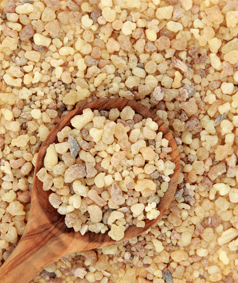 Frankincense Fotolia_57207103_M