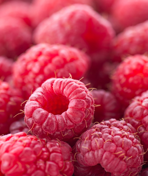 Raspberry Fotolia_86709287_L